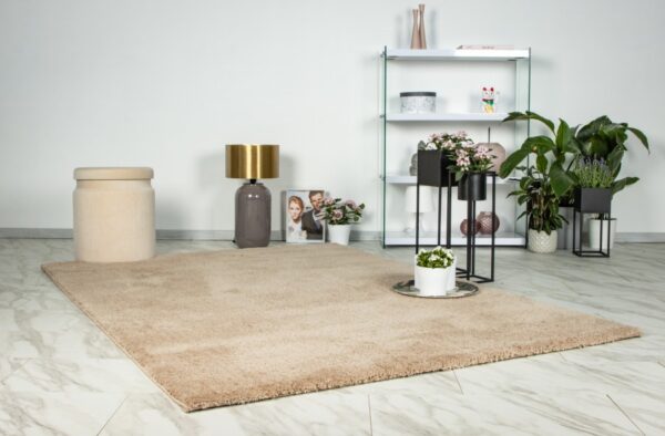 Alternative view of DREAM - DRE 500 Champagner, 80x150